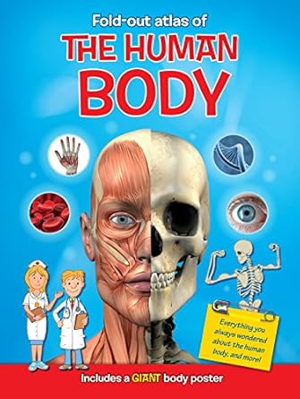 FOLD-OUT ATLAS OF THE HUMAN BODY