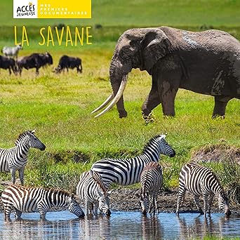 [9782383210054] LA SAVANE