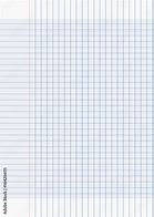 [5283001501706] Feuilles grands carreaux SEYES   